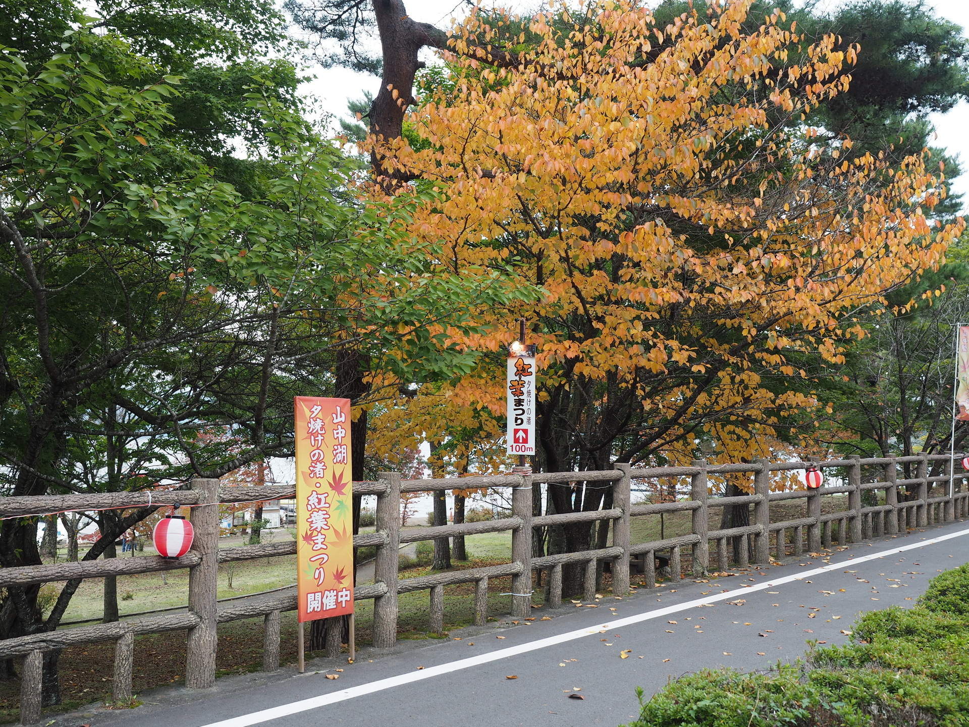 山梨県山中湖車中泊 その４ 山中湖紅葉まつり Voxyで行く車中泊